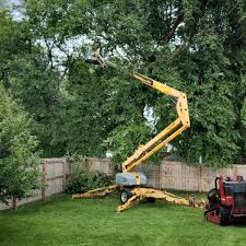Best Seasonal Cleanup (Spring/Fall)  in Lake City, MN