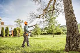 Lawn Maintenance Plans in Lake City, MN